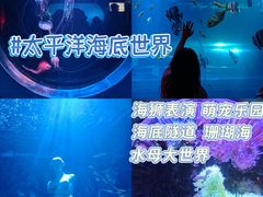 -太平洋海底世界
