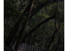 -广州市流溪河国家森林公园