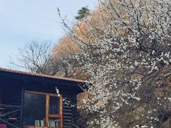 山吧(雁栖镇店)-北京水岸山吧度假村(雁栖镇店)