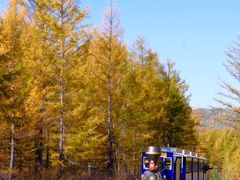 -莫尔道嘎国家森林公园