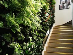 -Peet's Coffee皮爷咖啡(大学路店)