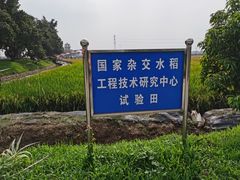 -广州老年大学