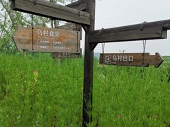 -乌村