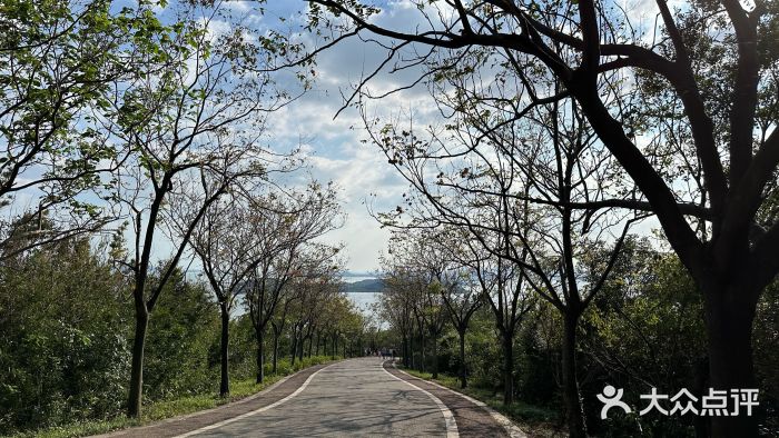 太湖渔洋山图片