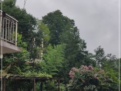 -南江大峡谷