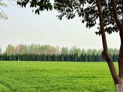 -汉长安城未央宫国家考古遗址公园