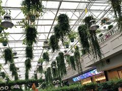 -天宫南铂玫瑰园酒店