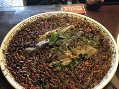 水煮鱼-杨记隆府(白象街店)