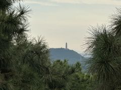 -北京西山国家森林公园