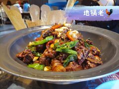地锅老公鸡-大张烙馍村(绿地店)