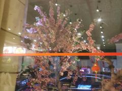 -桃花印巷江南小馆(朝阳路店)