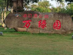 -万绿园