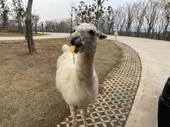 -南京金牛湖风景区