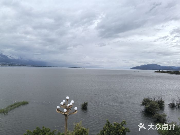 野菌皇海景野生菌火锅(滨海大道店)图片