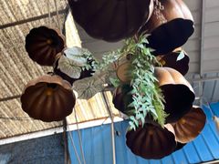 -亮佳鸿华二手市场