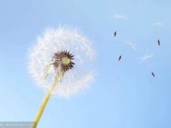 -杭州滨江宝龙城