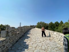 -原山国家森林公园