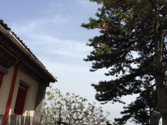 -秦岭风景区