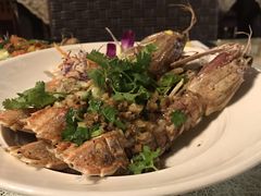 -Onion restaurant