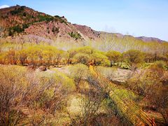 -塞罕坝国家级自然保护区