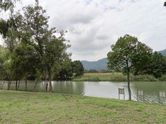 -长广溪湿地公园