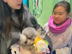 -鹤茶野所(上海首店)