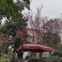 点击看大图 -莲生母婴月子中心(清水河公园店)