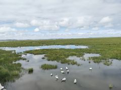 -花湖生态旅游区