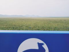 -乌兰布统草原