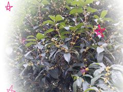 -砂之船奥特莱斯(合肥店)