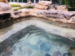 -中家鑫园温泉酒店鑫悦汤泉