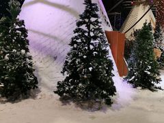 -宁波冰雪大世界(北仑区)