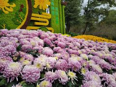 -南山植物园