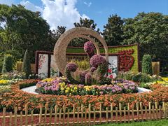 -上海共青森林公园