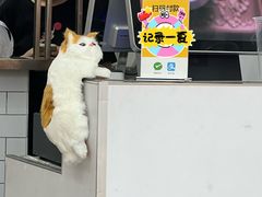 -豆豆冰室·地道招牌椰子冻(大良店)