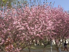 -北京奥林匹克公园