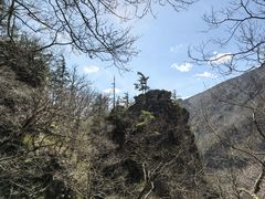 -牛背梁国家森林公园