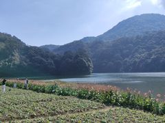 -广州市石门国家森林公园