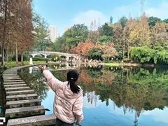 -重庆彩云湖湿地公园