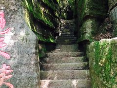 -黎坪国家森林公园
