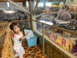 -卡通尼·Safari非洲探索乐园·生日会(金桥国际商业广场店)