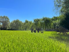 -北坞公园
