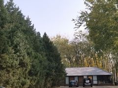 -朝阳公园体育中心