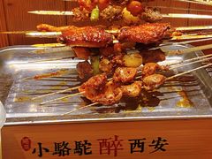 -福苗小骆驼烧烤(莲湖路店)