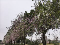 -花都广场