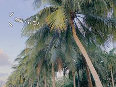 -海口骑楼老街历史文化街区