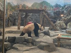 -武汉动物园