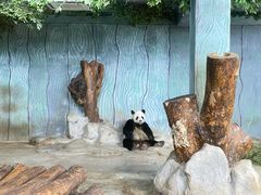 -海南热带野生动植物园