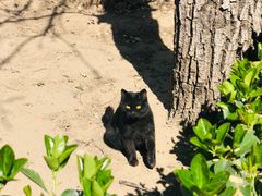 -中华人民共和国商务部国际贸易经济合作研究院