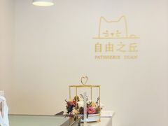 -浮光之丘MontCake生日蛋糕(花牌坊店)